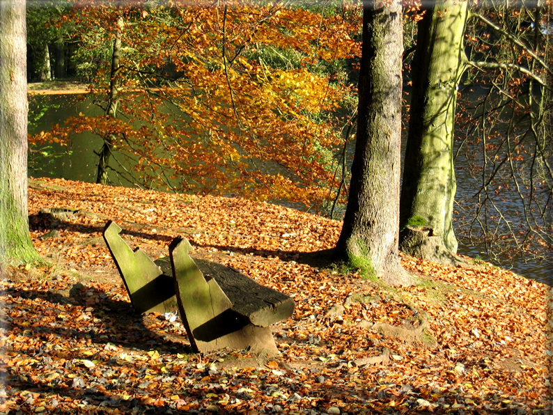 foto Parco Wilhelmshöhe in Autunno